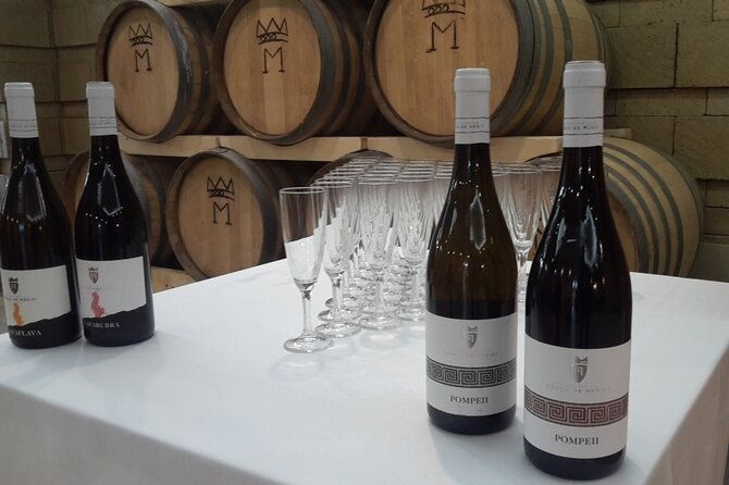 visit-2-wine-producers-with-tasting-and-transportation-included