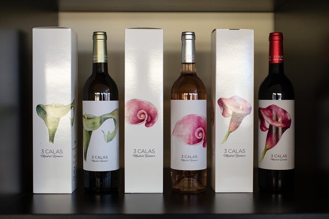 visit-3-calas-madrid-romero