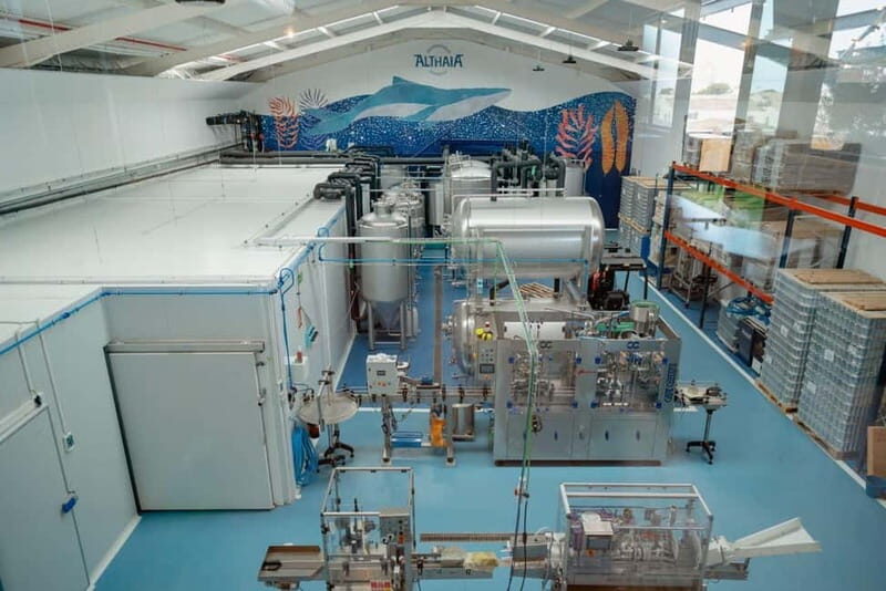 Visit a Craft Beer Factory with Tapas and Altea from Alicante - Value and Pricing