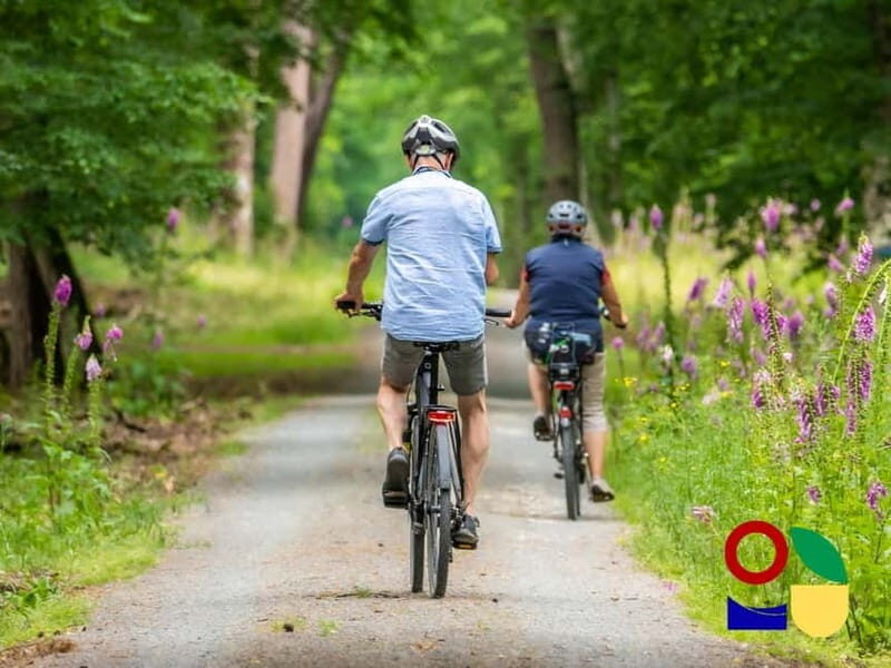 Visit a village by e-bike and taste the excellent wine - Practical Details and What to Expect