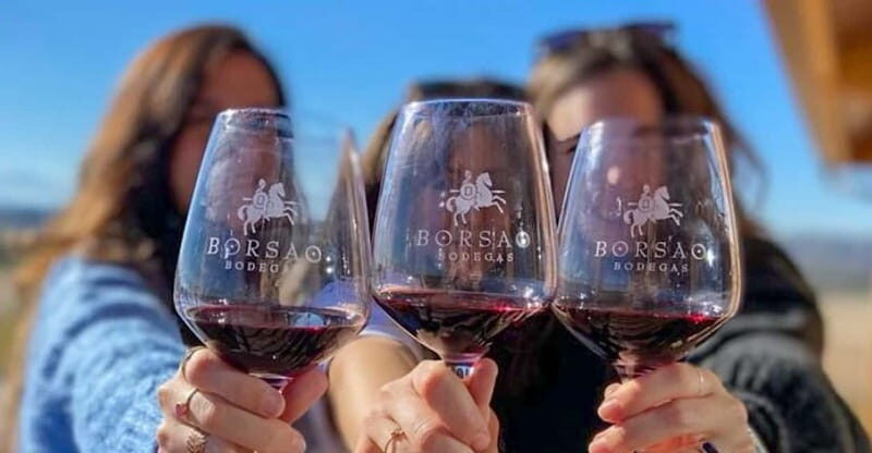 Visit a wine cellar, a wine museum and a traditional meal - Authenticity & Highlights From Real Travelers