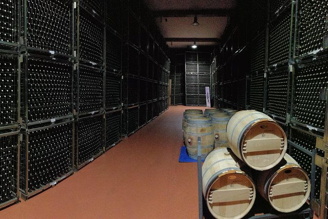 visit-a-winery-in-rioja