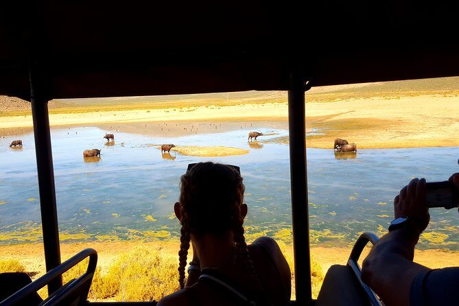 Visit African Big 5 Safari Aquila Game Reserve from Cape Town - full Day - Refreshing Breaks and Additional Experiences