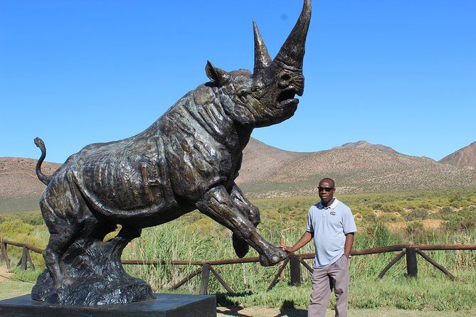 Visit African Big 5 Safari Aquila Game Reserve from Cape Town - full Day - Who Is This Tour Best Suited For?