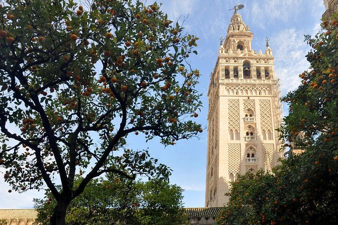 visit-alcazar-and-cathedral-combo-2