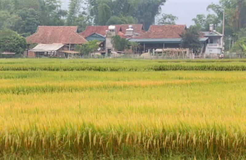 Visit all place in Dien Bien Phu 1 day - Private tour by car - Practical Details and Value