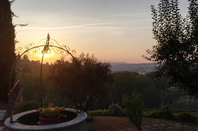 Visit among vineyards and wine cellar with wine tasting in Nizza Monferrato - Key Points