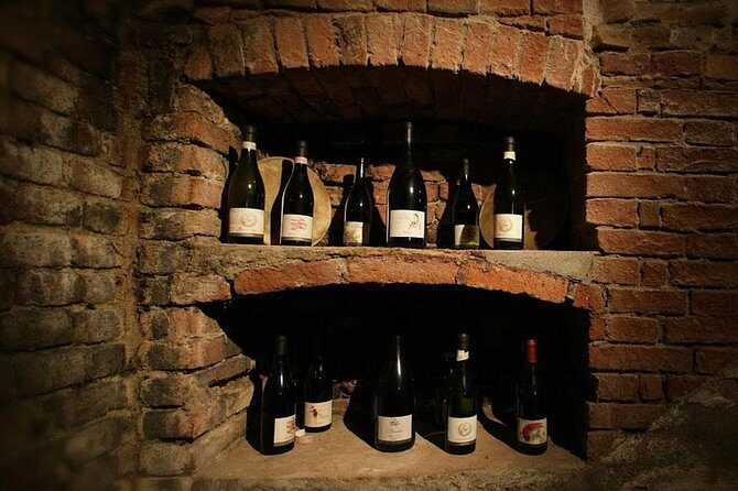Visit among vineyards and wine cellar with wine tasting in Nizza Monferrato - Final Thoughts