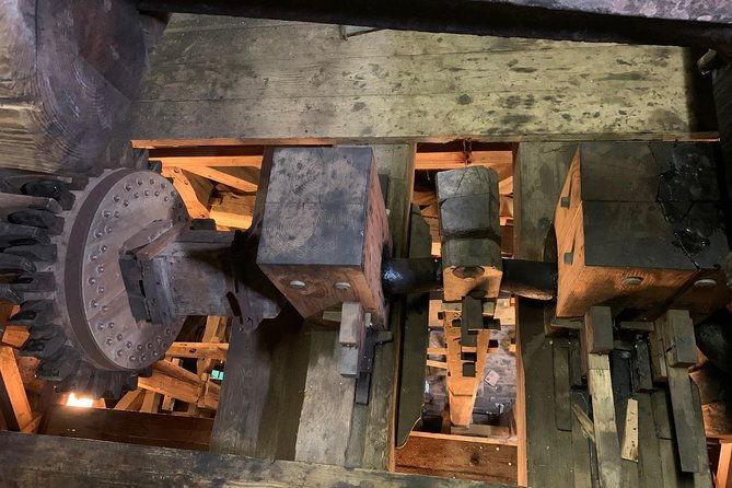 visit-amsterdam-countryside-with-windmills-by-bike-4