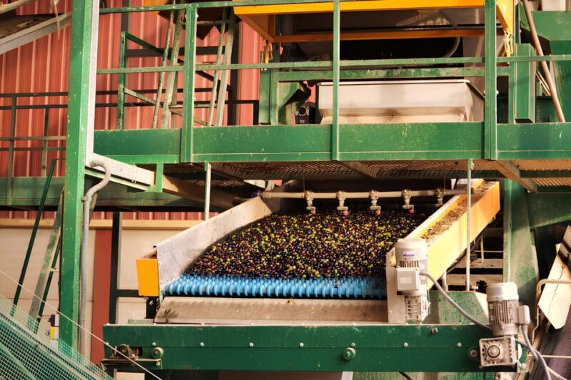 visit-an-olive-oil-mill-extra-virgin-olive-oil-tasting-baeza
