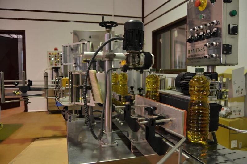 visit-an-olive-oil-mill-extra-virgin-olive-oil-tasting-baeza