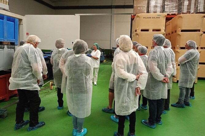 visit-and-gastronomic-experience-of-the-santona-anchovy-factory