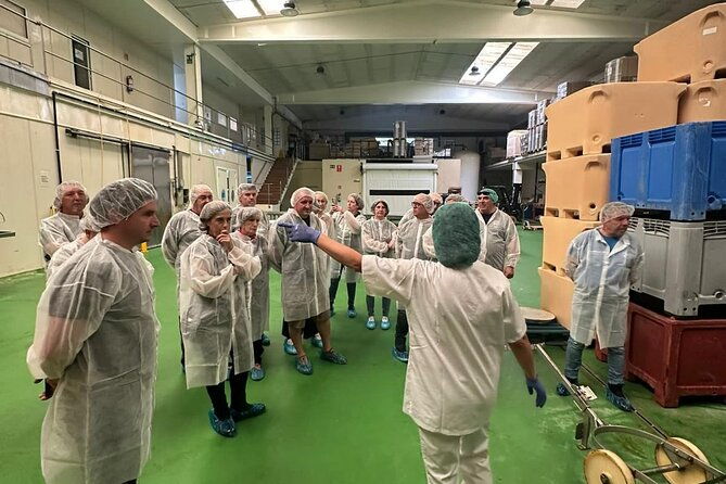visit-and-gastronomic-experience-of-the-santona-anchovy-factory