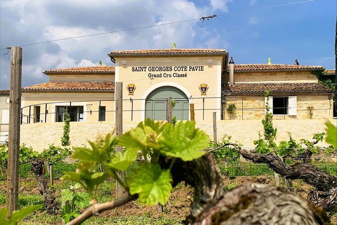 visit-and-tasting-chateau-saint-georges-cote-pavie-grand-cru-classe