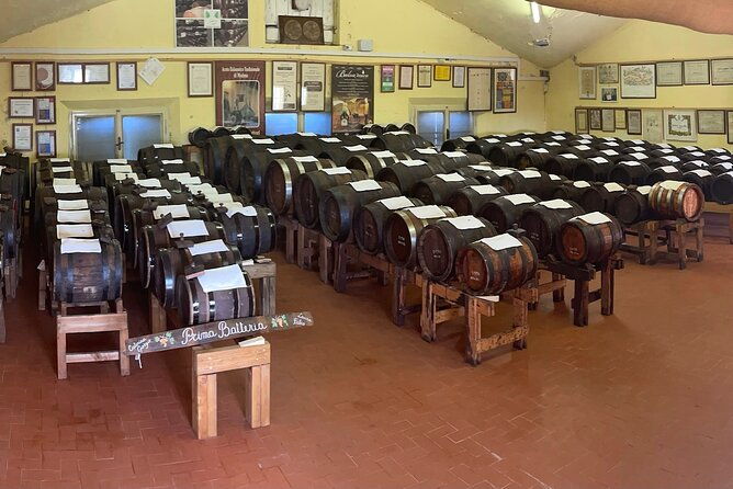 visit-and-tasting-of-traditional-balsamic-vinegar-of-modena