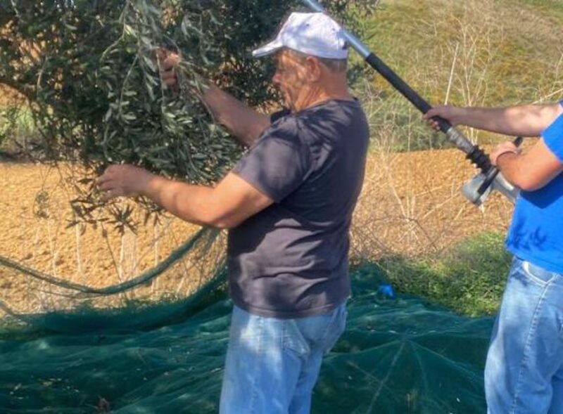 visit-and-tasting-of-typical-products-on-a-farm-in-segesta