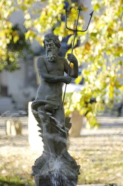 Visit and tasting - The essential - Discovering Château Capion’s Wine Tour: An Authentic Journey into French Viticulture