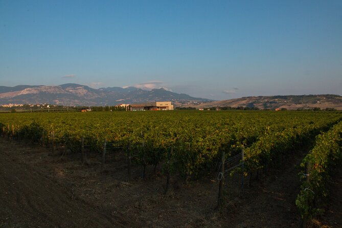 visit-and-wine-tasting-30-minutes-from-pescara