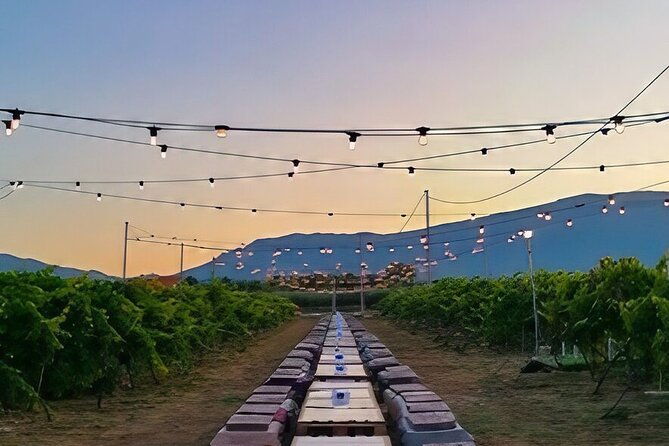 visit-and-wine-tasting-30-minutes-from-pescara