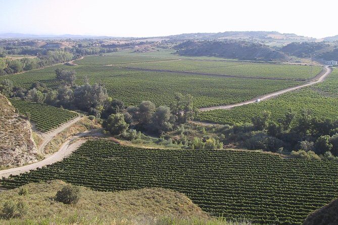 Visit and wine tasting at BODEGA PIRINEOS - FAQ