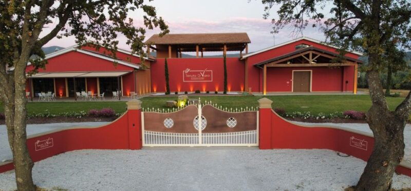 visit-and-wine-tasting-in-the-heart-of-the-bolgheri-doc