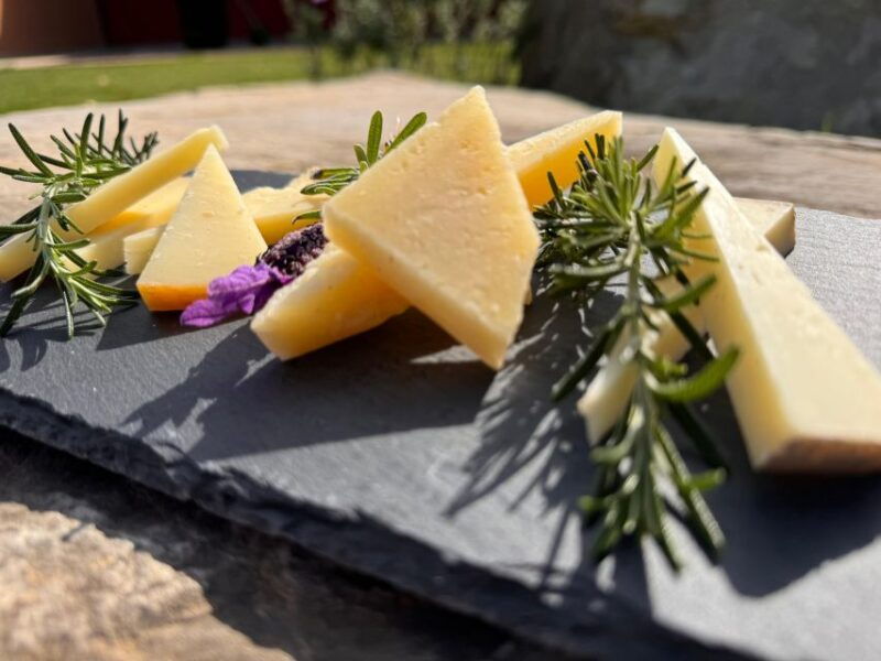 visit-and-wine-tasting-in-the-heart-of-the-bolgheri-doc