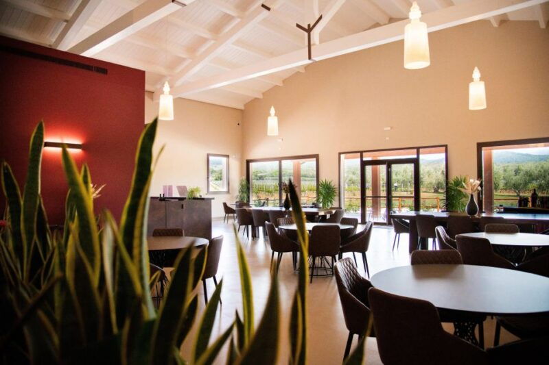 visit-and-wine-tasting-in-the-heart-of-the-bolgheri-doc