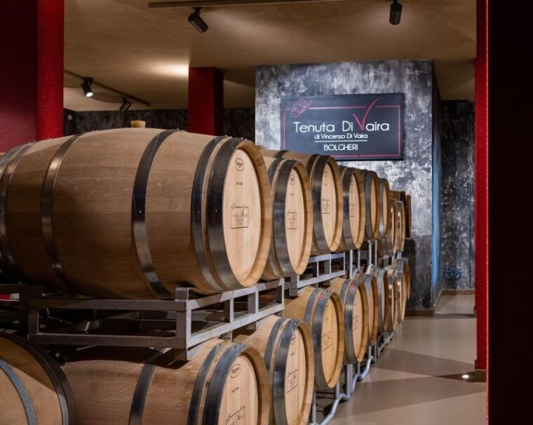 visit-and-wine-tasting-in-the-heart-of-the-bolgheri-doc