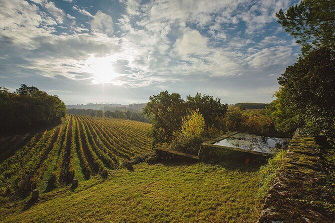 visit-and-wine-tasting-the-musketeers-wine