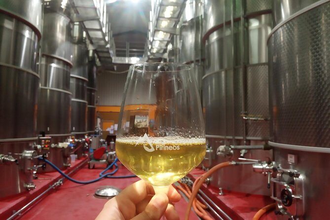 Visit and wine tasting with sausage and BODEGA PIRINEOS cheese - Introduction: What Makes this Tour Stand Out