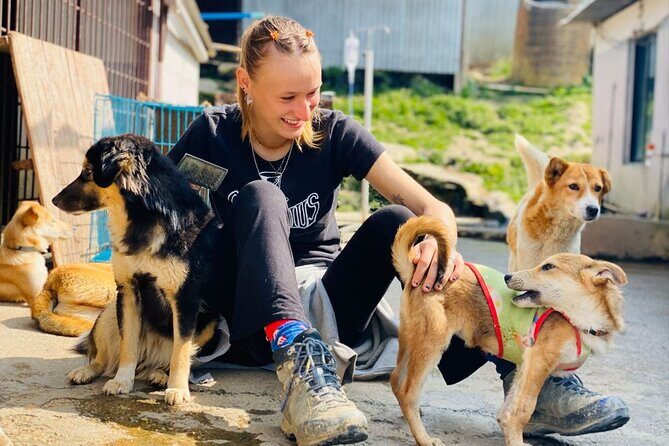 Visit Animal Sanctuary in Kathmandu - Introducing Our Review of the Visit Animal Sanctuary in Kathmandu