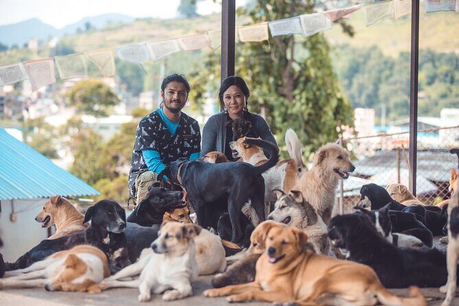 Visit Animal Sanctuary in Kathmandu - Final Thoughts