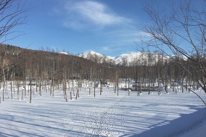 visit-asahiyama-zoo-fascinating-aoi-ike-from-sapporo