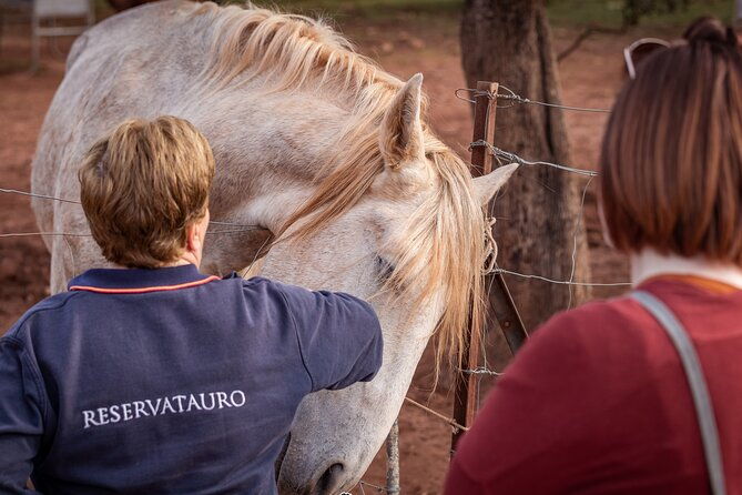 visit-between-bulls-and-horses