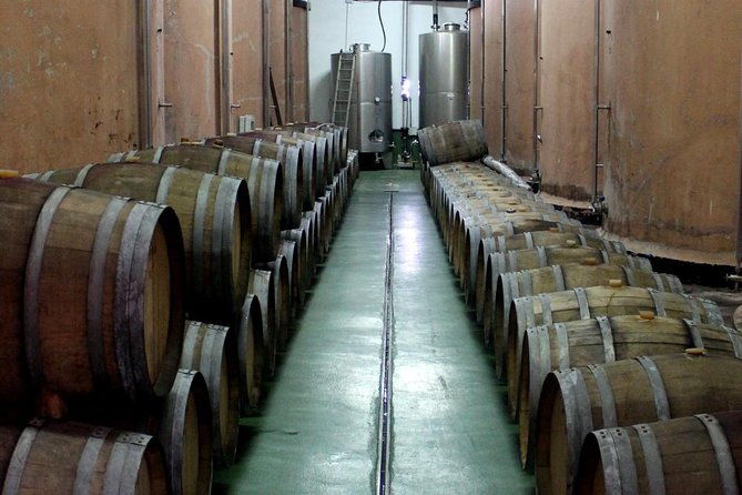 visit-bodegas-teneguia-winery-in-la-palma-with-wine-tasting