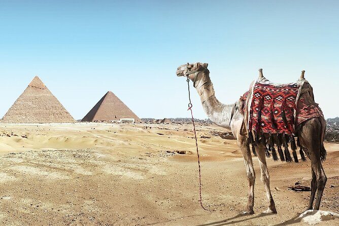 Visit Cairo Over Day, Pyramids, Egyptian Museum, and Lunch - Sharm El Sheikh - Final Thoughts