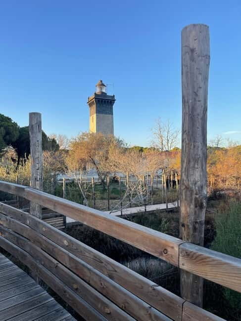 Visit Camargue and Espiguette Lighthouse from Montpellier - Discovering the Camargue: A Region of Wild Beauty and Historic Charm