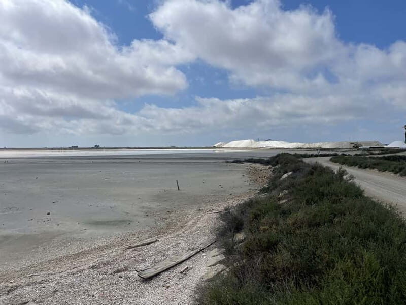 Visit Camargue and Espiguette Lighthouse from Montpellier - Practical Details: What You Need to Know