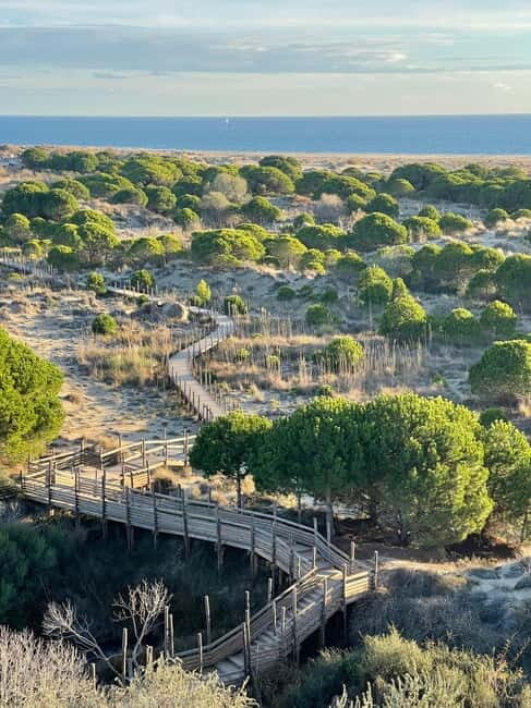 Visit Camargue and Espiguette Lighthouse from Montpellier - FAQ