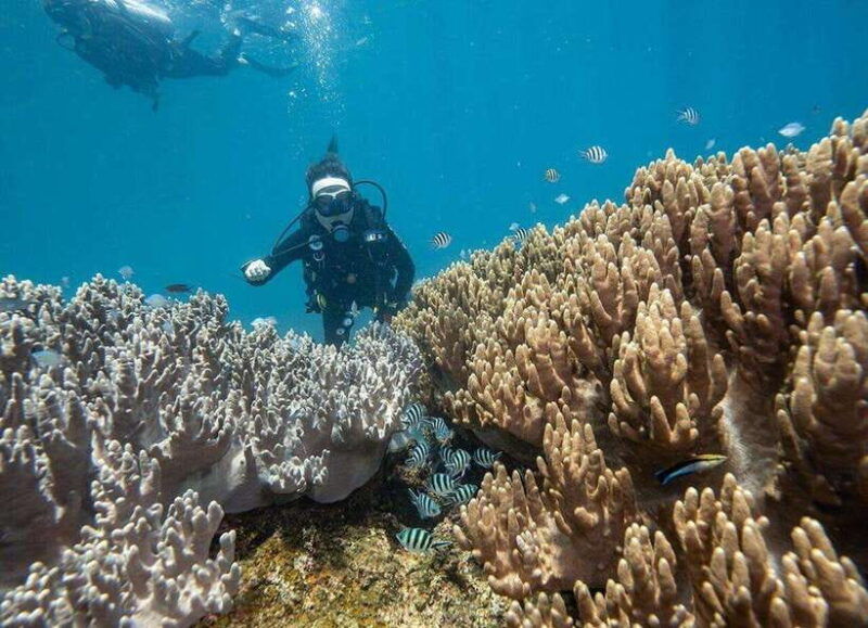 visit-cham-islands-snorkelling-scuba-diving