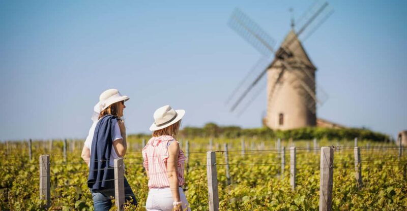 visit-chateau-du-moulin-a-vent-a-history-of-terroirs