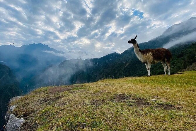 visit-cusco-machu-picchu-in-5-days-4-nights-all-inclusive