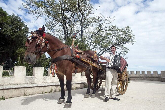 visit-erice-medival-city-from-trapani