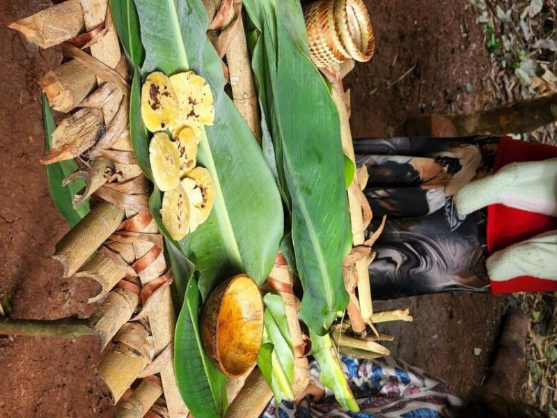 visit-guarani-village-at-mborore-fort-with-brunch
