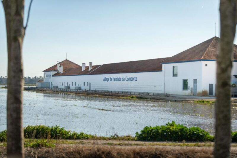 visit-herdade-da-comporta-winery