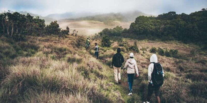 visit-horton-plains-and-nuwara-eliya-from-ella