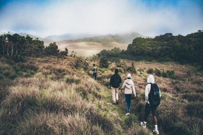 visit-horton-plains-and-nuwara-eliya-from-ella