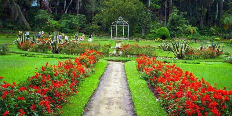 visit-horton-plains-and-nuwara-eliya-from-ella