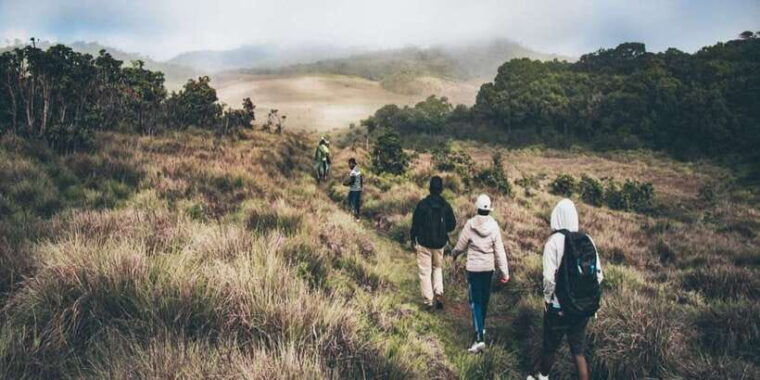 visit-horton-plains-and-nuwara-eliya-from-kandy