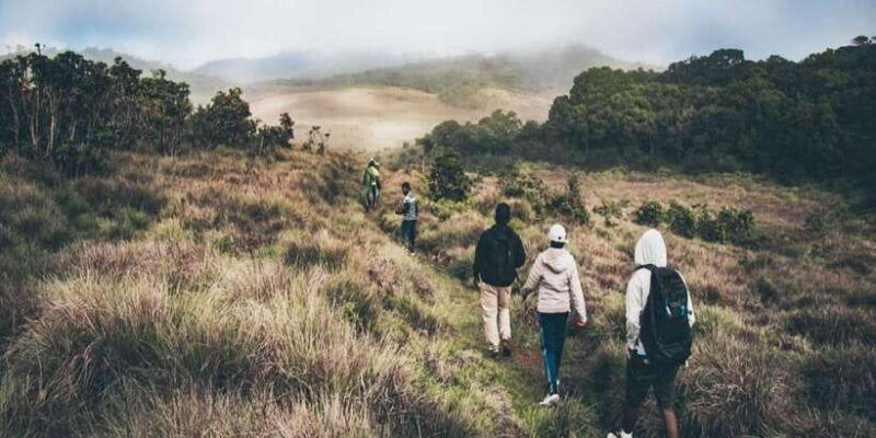 visit-horton-plains-scenic-train-ride-from-ella